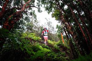 BIB: 
                            <button type="button" onclick="openModal(26201698)" class="btn btn-primary btn-sm float-right btn-popup" data-toggle="modal" data-target=".modal-high-quality">
                        <i class="fas fa-shopping-cart"></i> Add to Cart
                    </button>
                                            <button type="button" onclick="isThisMe(26201698, true)" class="btn btn-success btn-sm float-right btn-popup btn-isme hidden" data-toggle="tooltip" data-placement="bottom" title="นี่คือรูปของคุณใช่ไหม คลิกที่นี่เพื่อเอาเข้าอัลบั้ม">
                        <i class="fas fa-plus"></i> Add to album
                    </button>
                    <button type="button" onclick="isThisMe(26201698, false)" class="btn btn-warning btn-sm float-right btn-popup btn-isnotme hidden">
                        <i class="fas fa-ban"></i> Remove from album
                    </button>